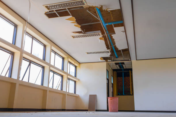 Best Sewage cleanup and water damage restoration  in Poland, OH