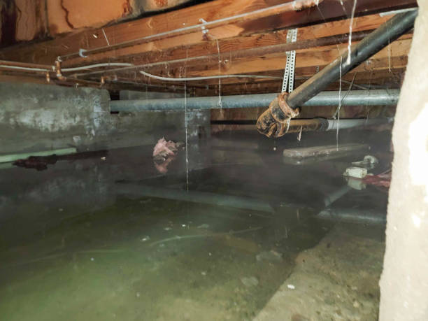 Best Flood restoration services  in Poland, OH