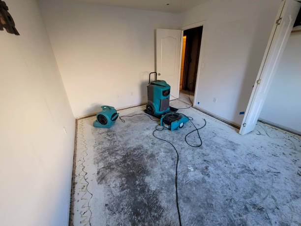 Best 24/7 water damage repair  in Poland, OH