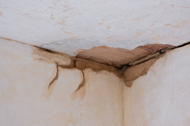 Best Water damage cleanup near me  in Poland, OH