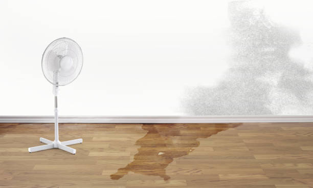 Best Flooded house restoration  in Poland, OH