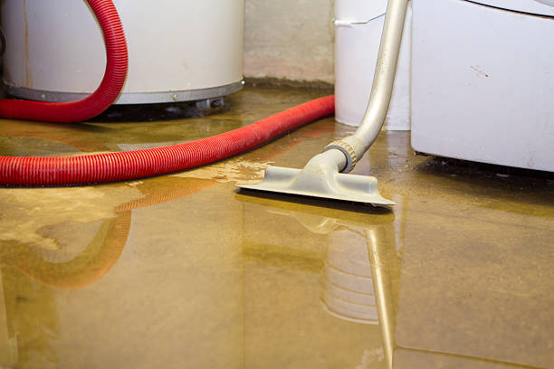 Best Water damage contractors near me  in Poland, OH