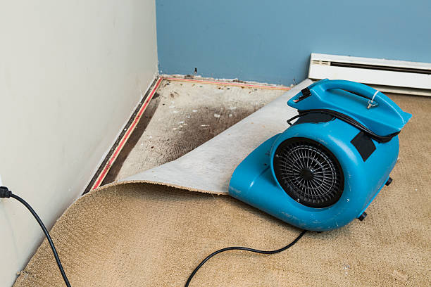 Best Carpet water damage restoration  in Poland, OH
